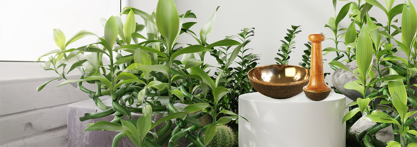 Kaash Massage-Schalen