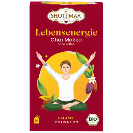 Bio Lebensenergie Gewürztee, 32 g - YOGISHOP