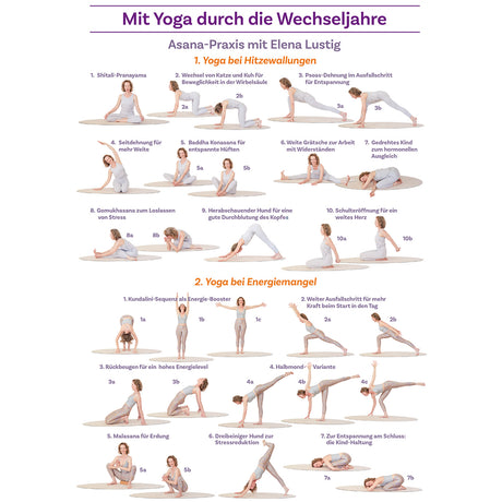 Mit Yoga durch die Wechseljahre Poster A4 - YOGISHOP