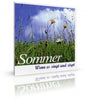 Sommer - Wenn es singt und zirpt von Karl-Heinz und Markus Dingler (CD) - YOGISHOP