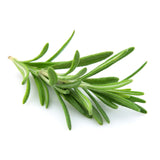 Bio Yogamatten-Reiniger - fresh rosemary - 10 l - YOGISHOP