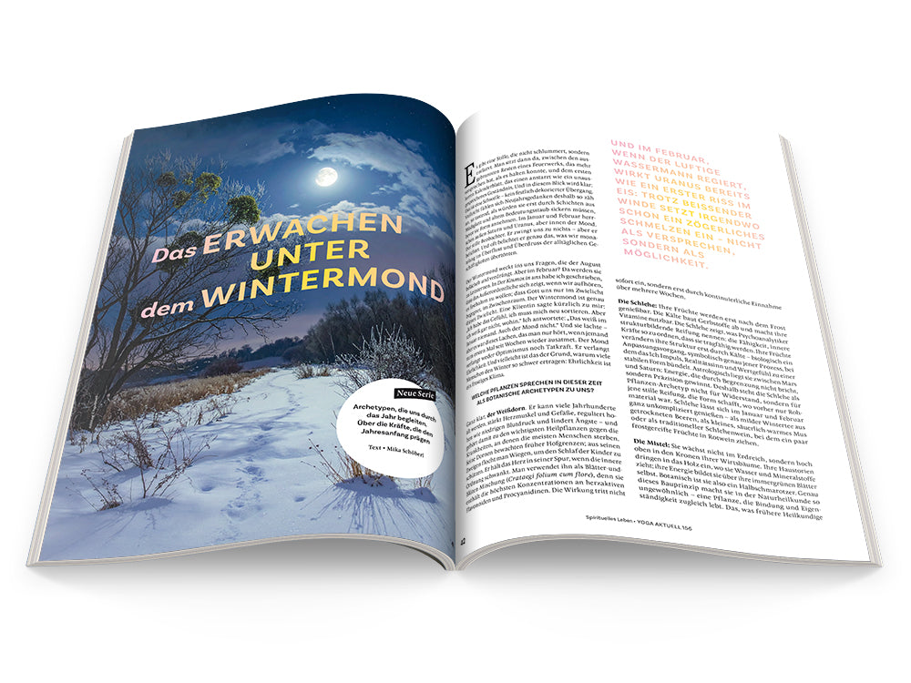 Yoga Aktuell 156 - 01/2026