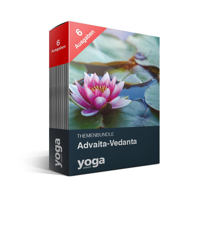Advaita-Vedanta – 6er Bundle - YOGISHOP
