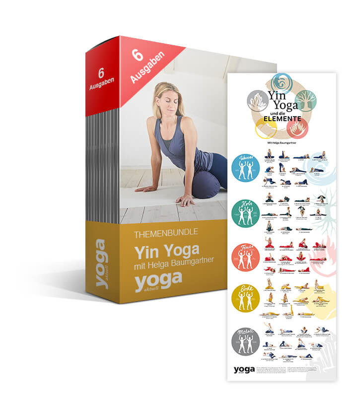 Yin Yoga mit Helga Baumgartner - 6er Bundle + Yin Yoga Poster - YOGISHOP