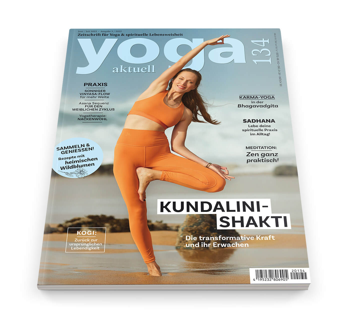yogamatte + 2 Yogablöcke von Yoga-set Starter Edition Spiral Mandala 