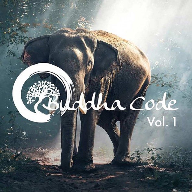 Buddha Code Vol. 1 - Audio-CD Gemafrei 